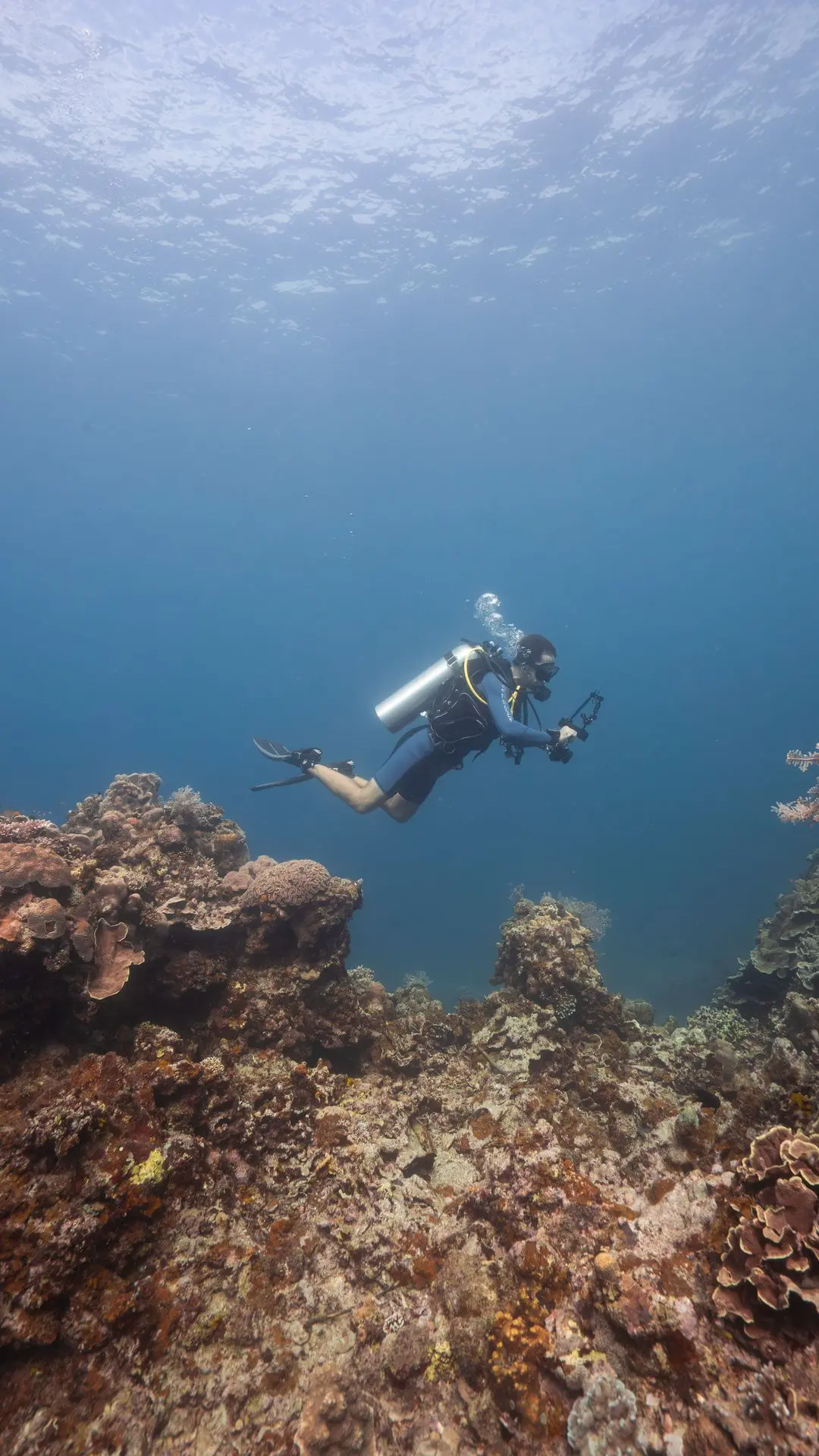 Siquijor-plongée-dive-diving-photography
